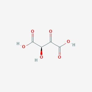 molecular formula C4H4O6 B1262945 (2R)-2-hydroxy-3-oxosuccinic acid 