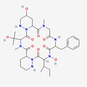 molecular formula C34H52N8O9 B1262956 Pargamicin A 