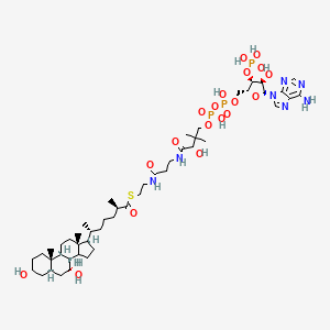 (25R)-3alpha,7alpha-dihydroxy-5beta-cholestan-26-oyl-CoA