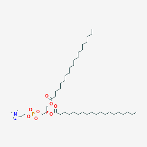 molecular formula C46H92NO8P B1262976 19:0 PC 