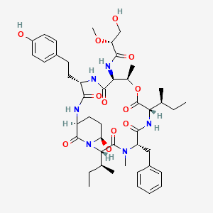 molecular formula C45H64N6O12 B1262992 Cyanopeptolin 880 