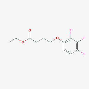 molecular formula C12H13F3O3 B12630124 Ethyl 4-(2,3,4-trifluoro-phenoxy)butanoate 
