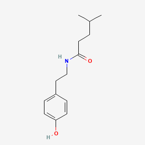 molecular formula C14H21NO2 B12630259 N-[2-(4-Hydroxyphenyl)ethyl]-4-methylpentanamide CAS No. 921607-22-9