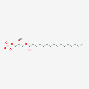 molecular formula C19H37O7P-2 B1263030 1-棕榈酰甘油3-磷酸(2-) 