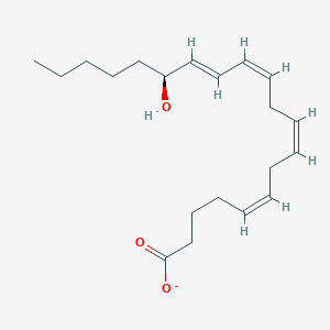 molecular formula C20H31O3- B1263074 (5Z,8Z,11Z,13E,15S)-15-hydroxyicosa-5,8,11,13-tetraenoate 