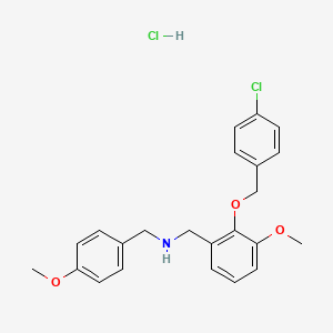 molecular formula C23H25Cl2NO3 B12630770 C23H25Cl2NO3 