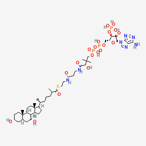 3alpha,7alpha-dihydroxy-5beta-cholestan-26-oyl-CoA