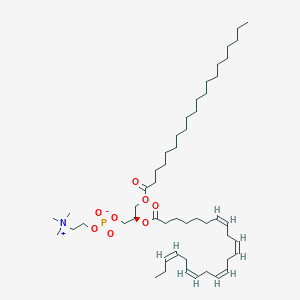 molecular formula C50H90NO8P B1263109 PC(20:0/22:5(7Z,10Z,13Z,16Z,19Z)) 