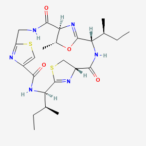 molecular formula C24H34N6O4S2 B1263120 aerucyclamide A 
