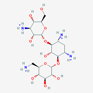 molecular formula C18H40N4O11+4 B1263128 kanamycin A(4+) 