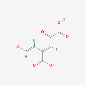 molecular formula C7H4O6-2 B1263133 (2E,4E)-2-hydroxy-4-(2-oxoethylidene)pent-2-enedioate 