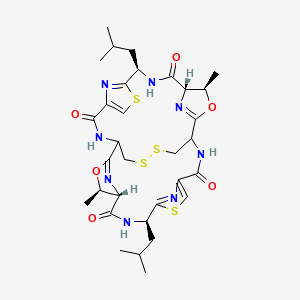 molecular formula C32H42N8O6S4 B1263139 (4R,5S,8R,18R,19S,22R)-4,18-dimethyl-8,22-bis(2-methylpropyl)-3,17-dioxa-10,24,30,31-tetrathia-7,14,21,28,33,34,35,36-octazahexacyclo[13.13.4.12,5.19,12.116,19.123,26]hexatriaconta-2(36),9(35),11,16(34),23(33),25-hexaene-6,13,20,27-tetrone 