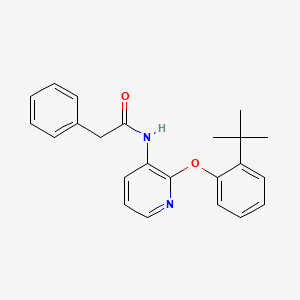 molecular formula C23H24N2O2 B12631551 N-[2-(2-tert-Butylphenoxy)pyridin-3-yl]-2-phenylacetamide CAS No. 918343-80-3