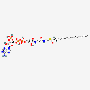 molecular formula C39H68N7O17P3S B1263176 trans-2-octadecenoyl-CoA 