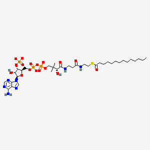 molecular formula C35H58N7O17P3S-4 B1263185 myristoyl-CoA(4-) 