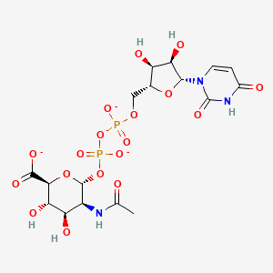 molecular formula C17H22N3O18P2-3 B1263217 UDP-N-acetyl-alpha-D-mannosaminouronate(3-) 