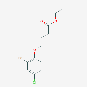 molecular formula C12H14BrClO3 B12632522 Ethyl 4-(2-bromo-4-chloro-phenoxy)butanoate 