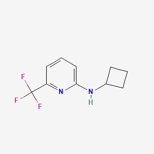 molecular formula C10H11F3N2 B12632797 N-cyclobutyl-6-(trifluoromethyl)pyridin-2-amine CAS No. 939809-66-2