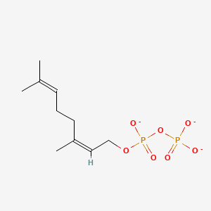 molecular formula C10H17O7P2-3 B1263282 Neryl diphosphate(3-) 