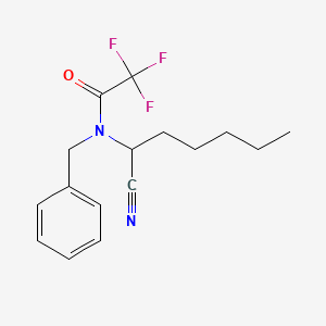 molecular formula C16H19F3N2O B12633252 N-Benzyl-N-(1-cyanohexyl)-2,2,2-trifluoroacetamide CAS No. 919789-33-6