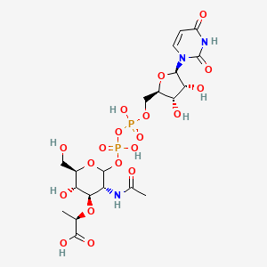 molecular formula C20H31N3O19P2 B1263336 uridine 5'-(3-{2-acetylamino-3-O-[(R)-1-carboxyethyl]-2-deoxy-D-glucopyranosyl} dihydrogen diphosphate) 