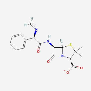 Metampicillin(1-)