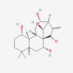 molecular formula C20H30O5 B1263662 (1R,2R,4R,8S,9R,10S,12S,13R,16S)-2,8,12,16-tetrahydroxy-5,5,9-trimethyl-14-methylidenetetracyclo[11.2.1.01,10.04,9]hexadecan-15-one 