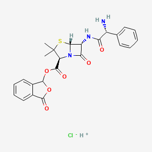 molecular formula C24H24ClN3O6S B1263784 Talampicillin HCl 