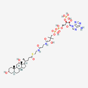 molecular formula C45H74N7O19P3S B1263858 Deoxycholoyl-CoA 