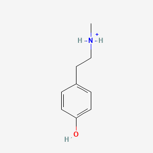 molecular formula C9H14NO+ B1263912 N-methyltyraminium 