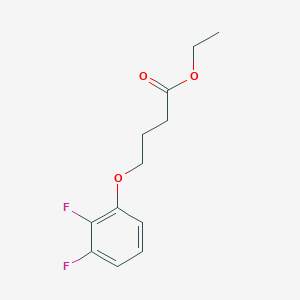 molecular formula C12H14F2O3 B12639303 Ethyl 4-(2,3-difluoro-phenoxy)butanoate 
