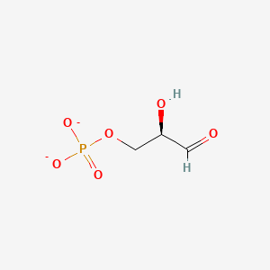 molecular formula C3H5O6P-2 B1264020 D-glyceraldehyde 3-phosphate(2-) 