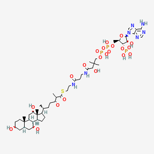 molecular formula C48H78N7O21P3S B1264055 3alpha,7alpha,12alpha-trihydroxy-24-oxo-5beta-cholestan-26-oyl-CoA 
