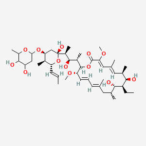 molecular formula C45H74O13 B1264061 Concanamycin C 