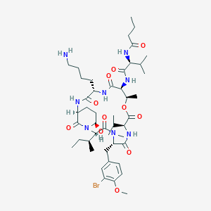 molecular formula C46H73BrN8O11 B1264078 kempopeptin B 