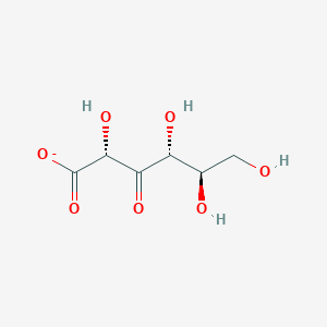 molecular formula C6H9O7- B1264150 3-dehydro-D-gluconate 
