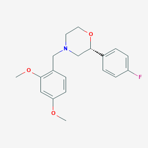 molecular formula C19H22FNO3 B12641544 (2R)-4-[(2,4-dimethoxyphenyl)methyl]-2-(4-fluorophenyl)morpholine CAS No. 920802-11-5