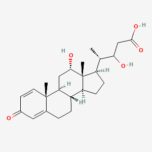 molecular formula C24H34O5 B1264157 Bendigole C 