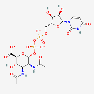 molecular formula C19H25N4O18P2-3 B1264174 UDP-2,3-diacetamido-2,3-dideoxy-alpha-D-glucuronate 