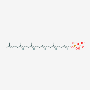 All-trans-hexaprenyl diphosphate(3-)