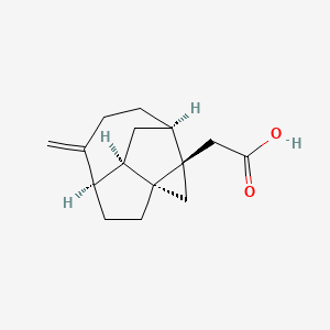 molecular formula C15H20O2 B1264185 (+)-Echinopine A 