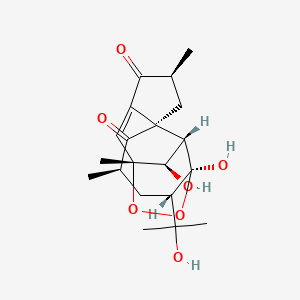 molecular formula C20H28O7 B1264257 Steenkrotin B 