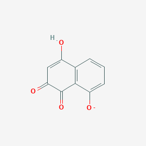 molecular formula C10H5O4- B1264263 8-Hydroxy-1,4-dioxo-1,4-dihydronaphthalen-2-olate 