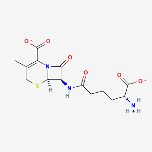 molecular formula C14H18N3O6S- B1264269 deacetoxycephalosporin C(1-) 
