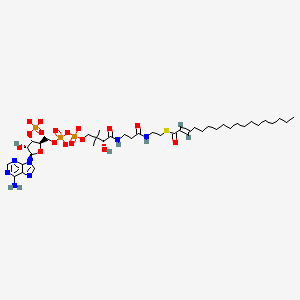 molecular formula C39H64N7O17P3S-4 B1264302 trans-2-octadecenoyl-CoA(4-) 