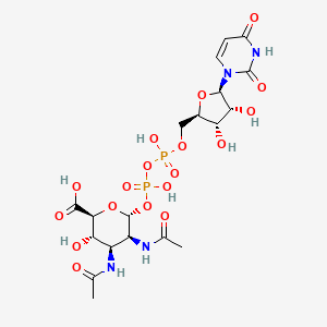molecular formula C19H28N4O18P2 B1264305 UDP-2,3-diacetamido-2,3-dideoxy-alpha-D-mannuronic acid 