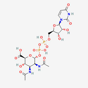 UDP-2,3-diacetamido-2,3-dideoxy-alpha-D-mannuronic acid