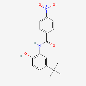 molecular formula C17H18N2O4 B12643177 N-(5-tert-Butyl-2-hydroxyphenyl)-4-nitrobenzamide CAS No. 921198-82-5