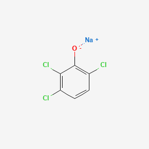 molecular formula C6H2Cl3NaO B12643199 Sodium 2,3,6-trichlorophenolate CAS No. 40581-96-2