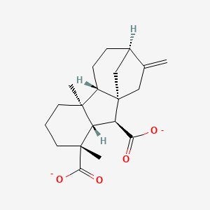 molecular formula C20H26O4-2 B1264323 gibberellin A12(2-) 